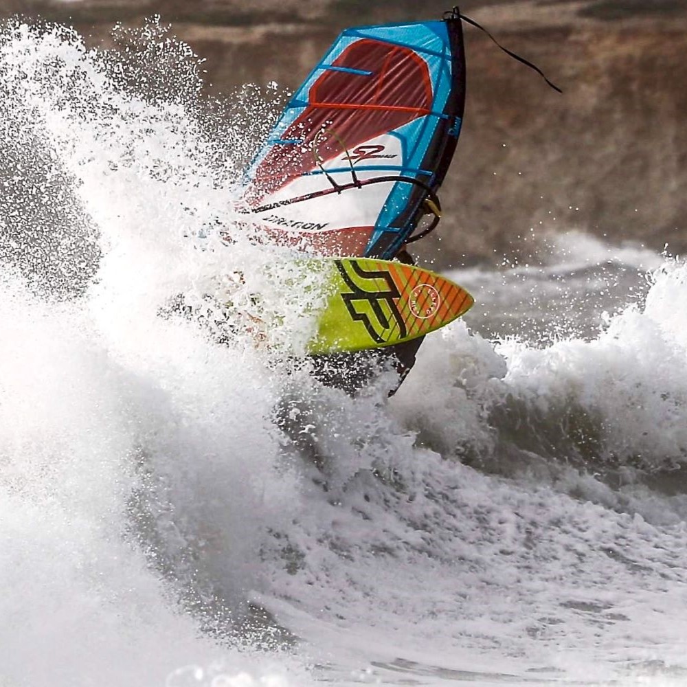 albero windsurf reptile